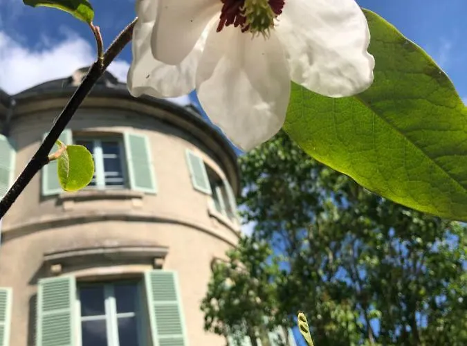 Castel Saint-leonard 3* Фалез